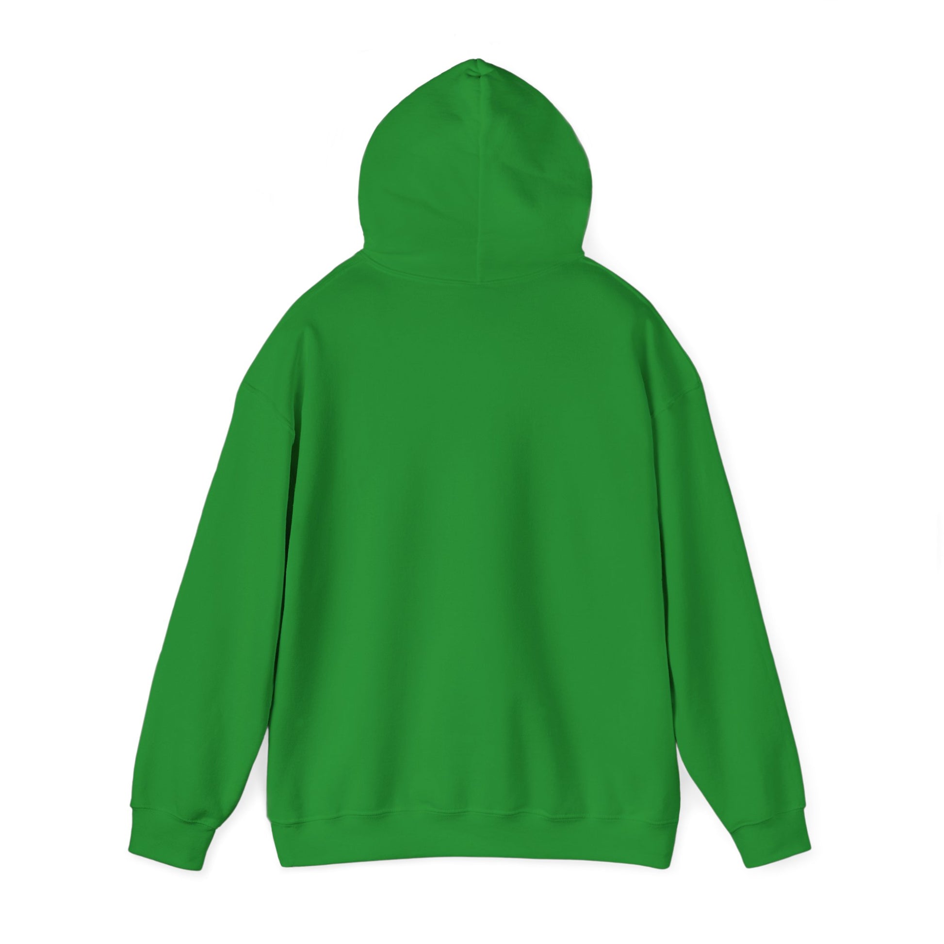 Your Pal Brushed Hoodie - Sammy Obeid