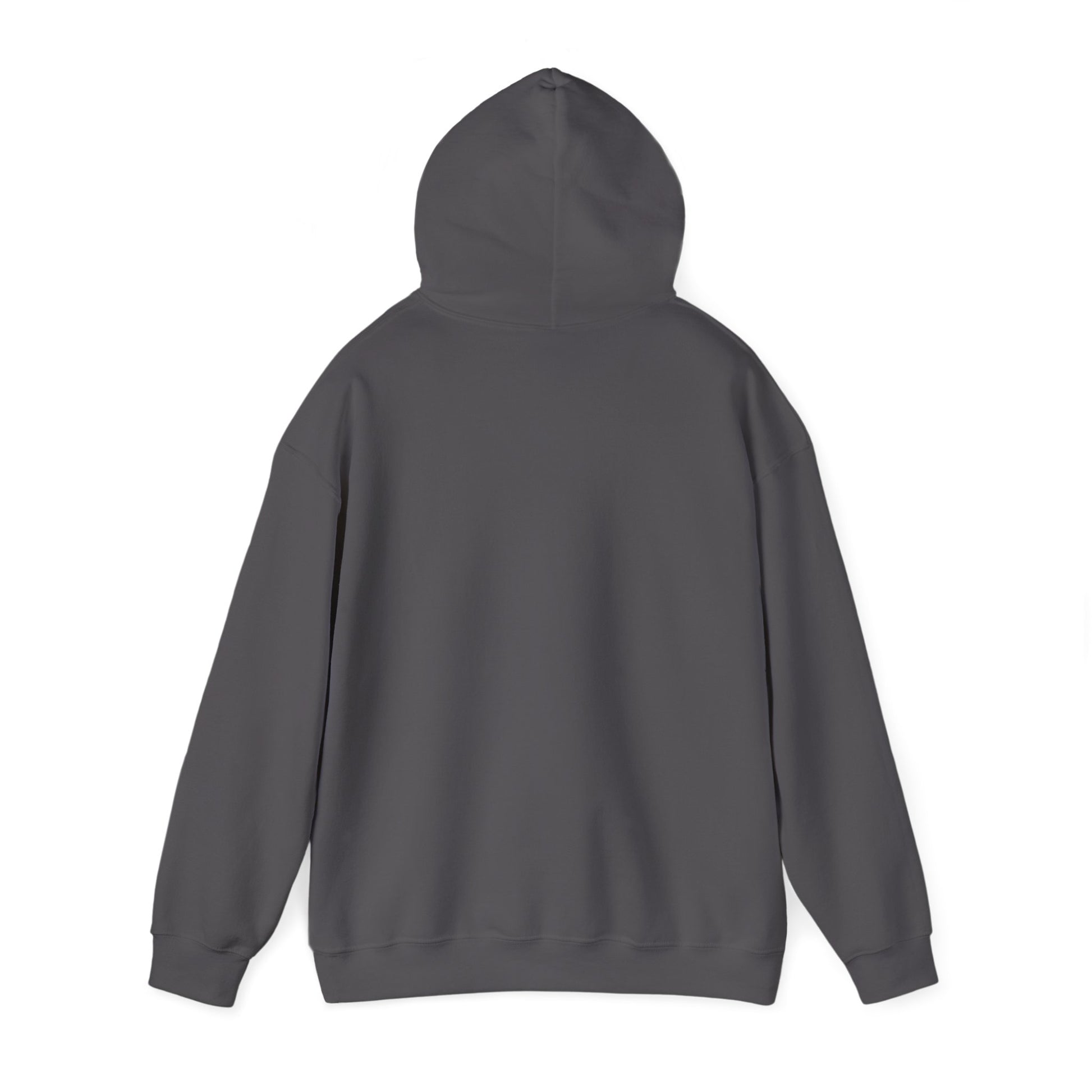 Your Pal Brushed Hoodie - Sammy Obeid