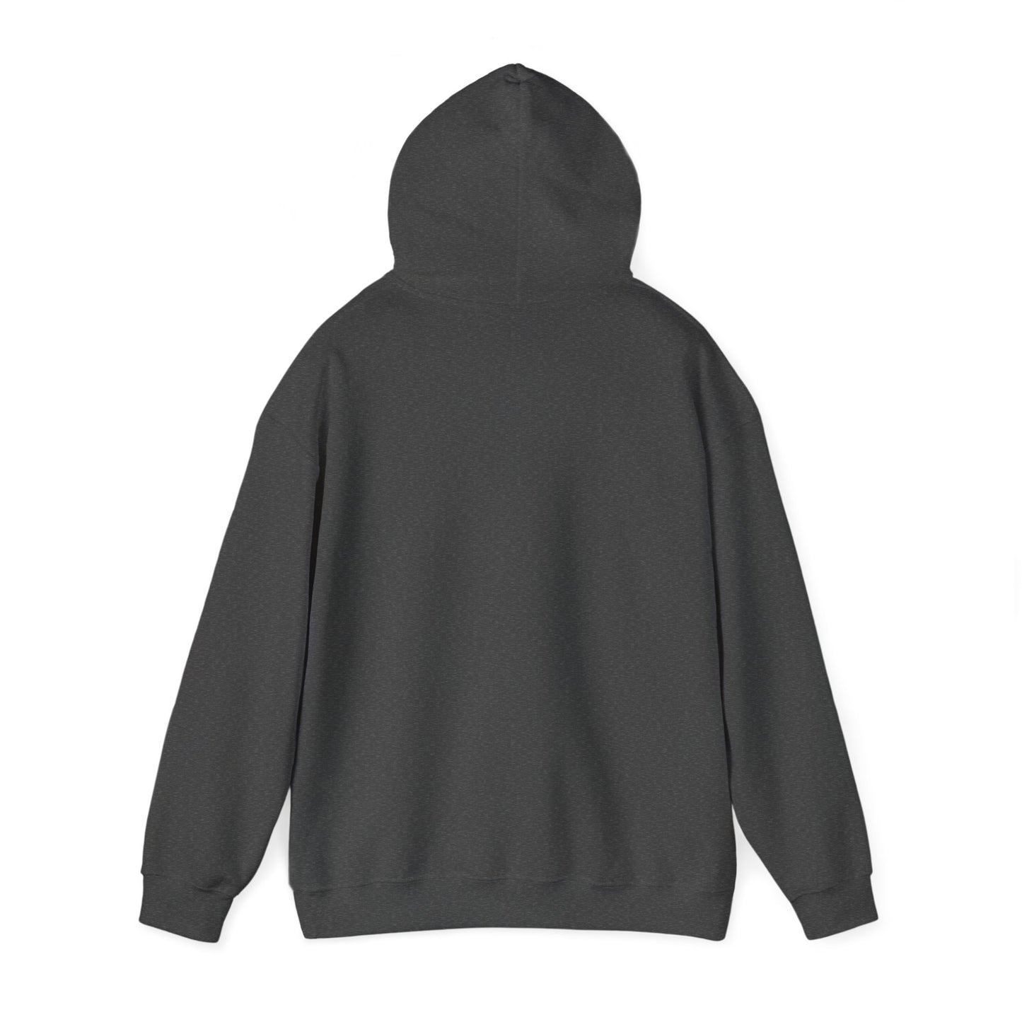 Your Pal Brushed Hoodie - Sammy Obeid
