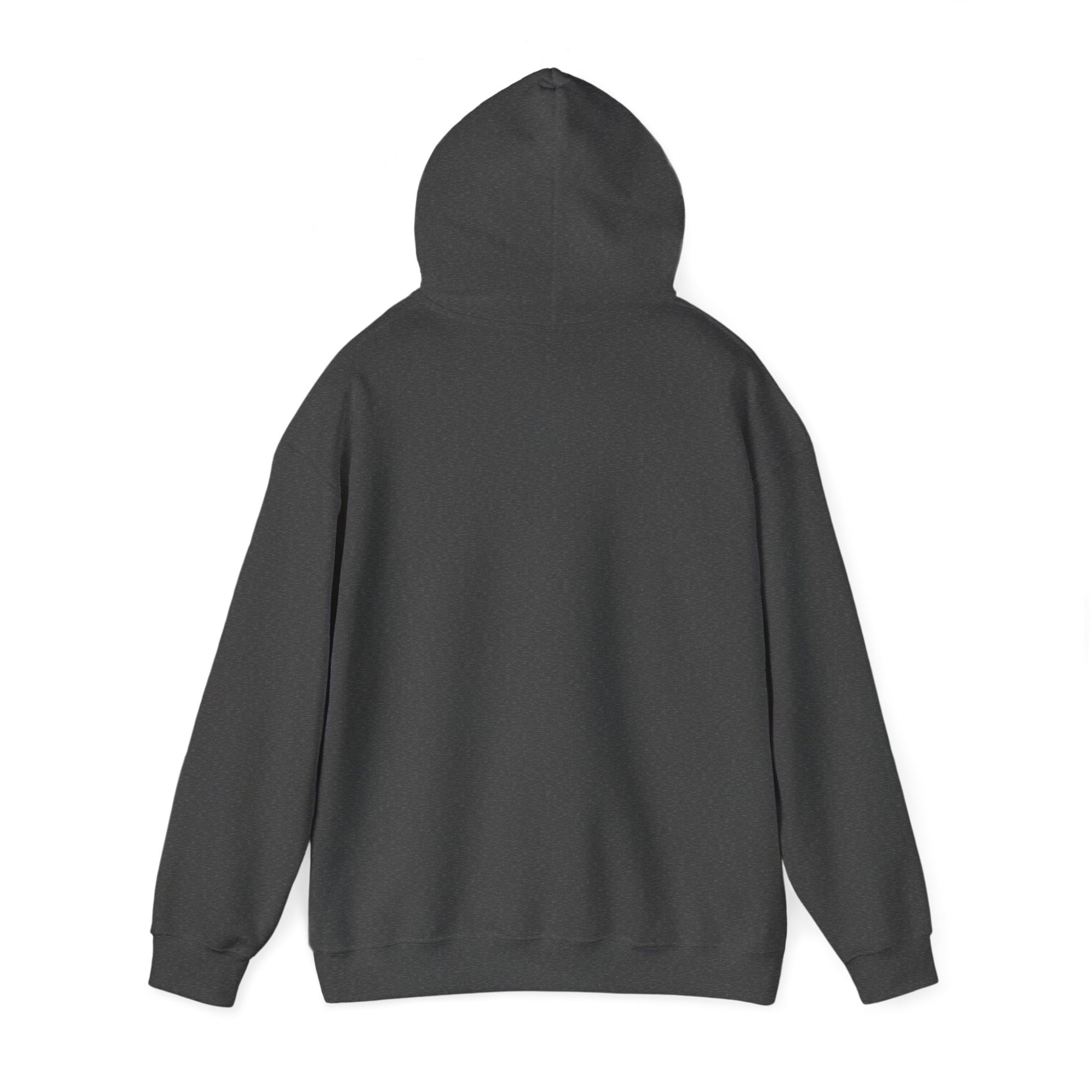 Your Pal Brushed Hoodie - Sammy Obeid