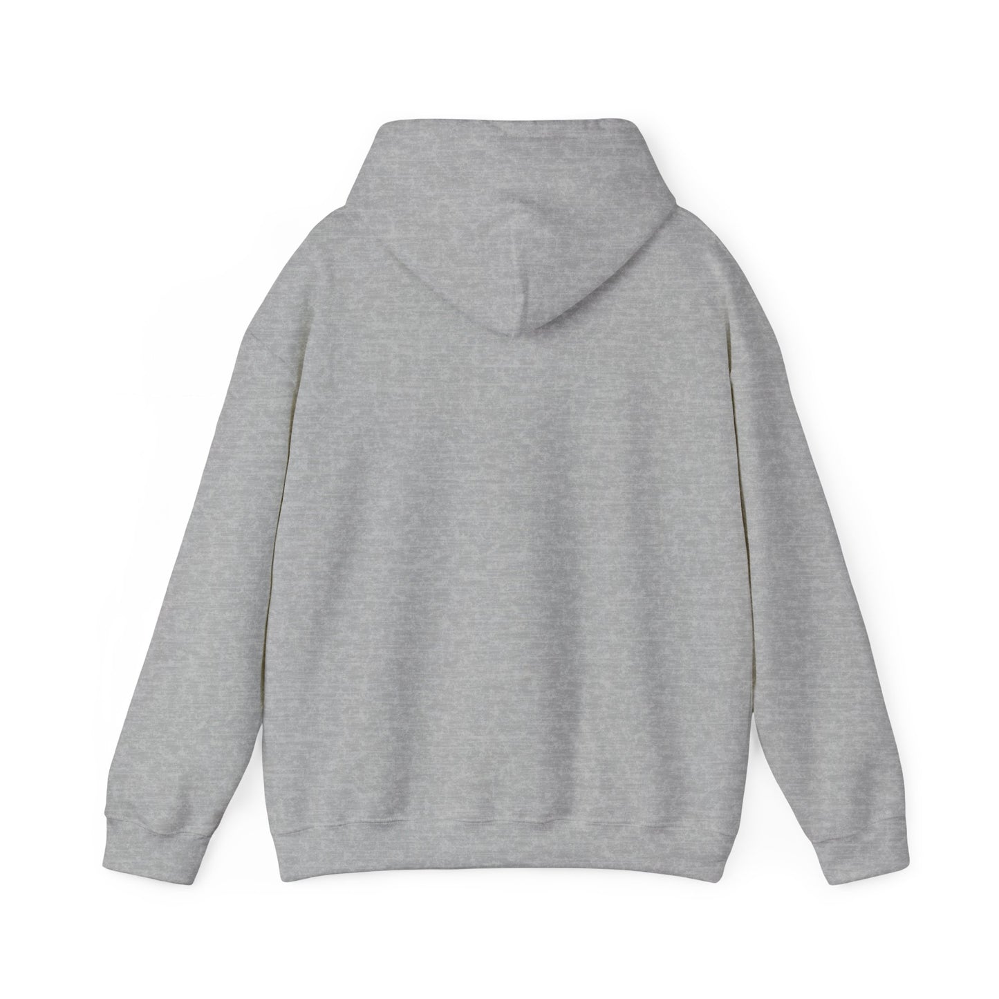 Your Pal Brushed Hoodie - Sammy Obeid