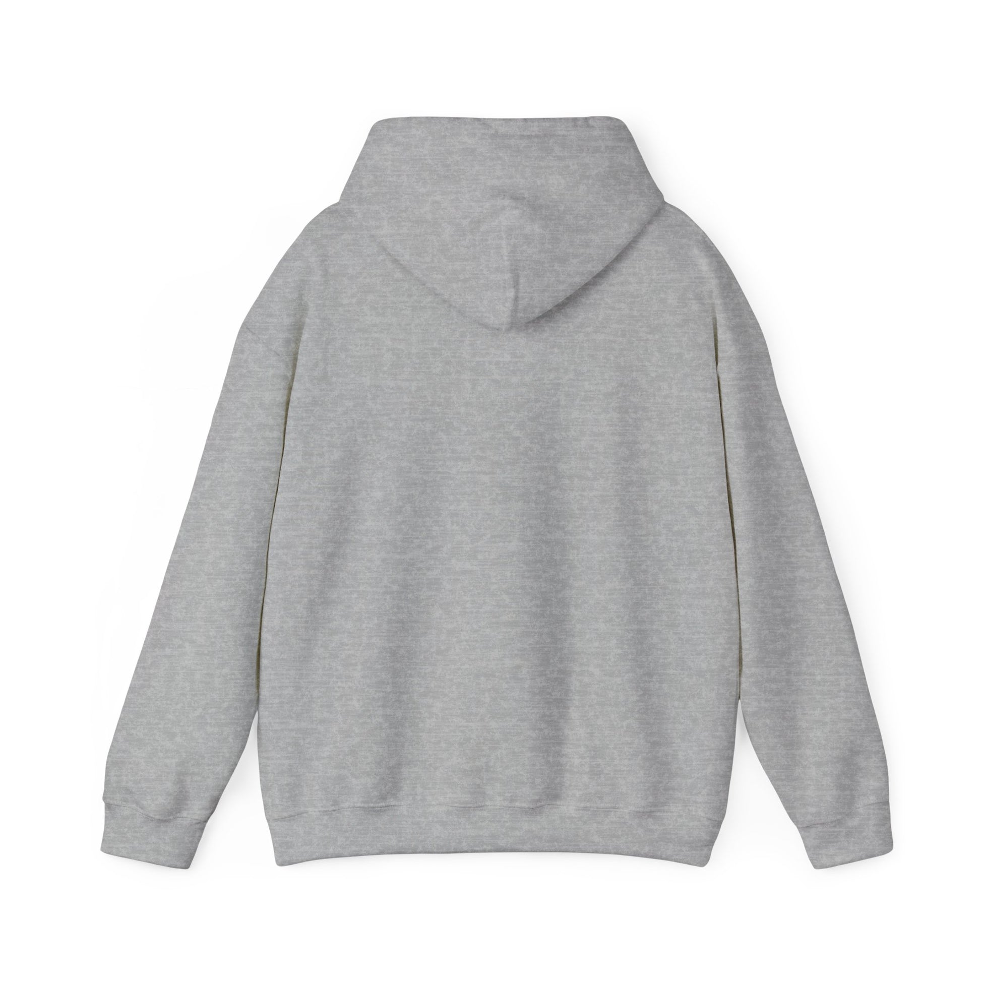 Your Pal Brushed Hoodie - Sammy Obeid