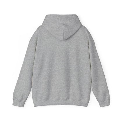 Your Pal Brushed Hoodie - Sammy Obeid