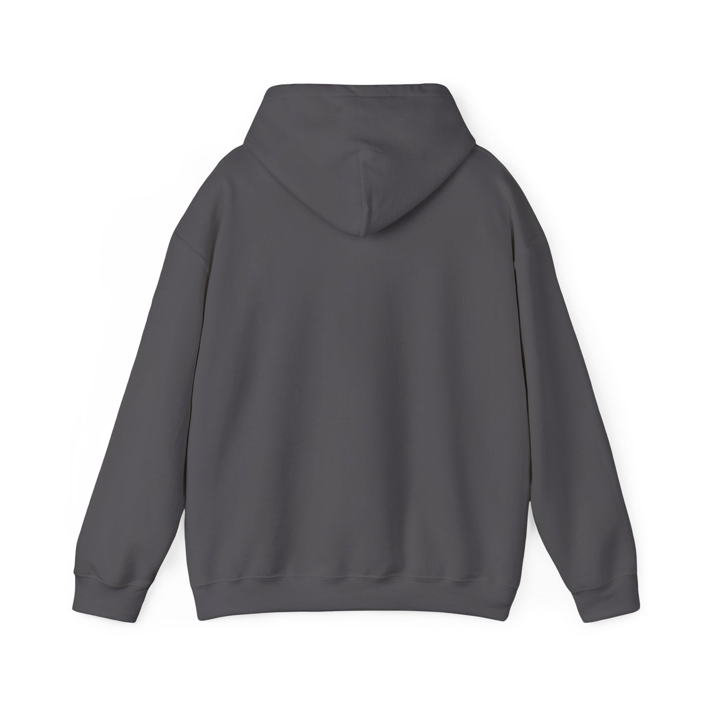 Your Pal Brushed Hoodie - Sammy Obeid