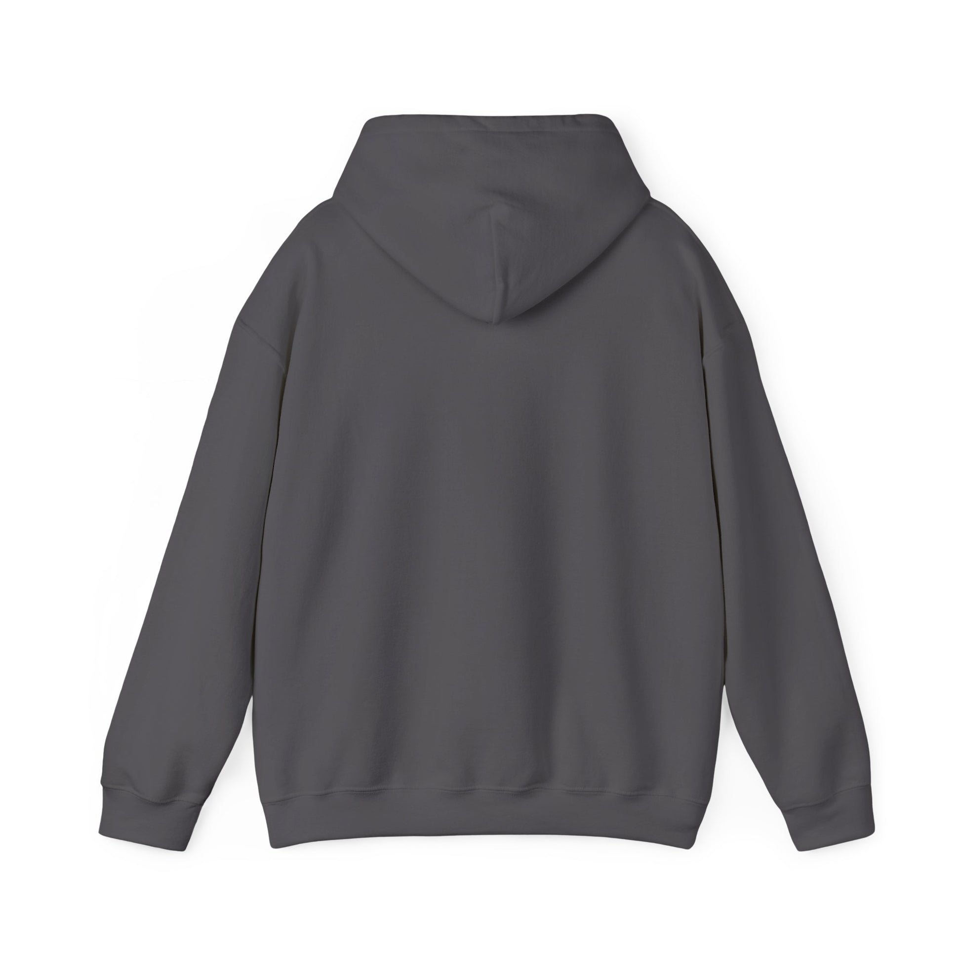 Your Pal Brushed Hoodie - Sammy Obeid