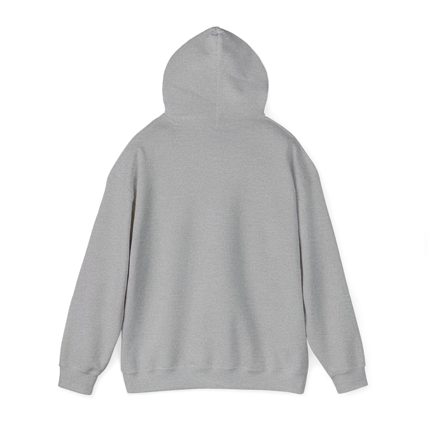 Your Pal Brushed Hoodie - Sammy Obeid